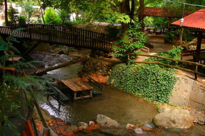 أين تقع صبنجة ؟