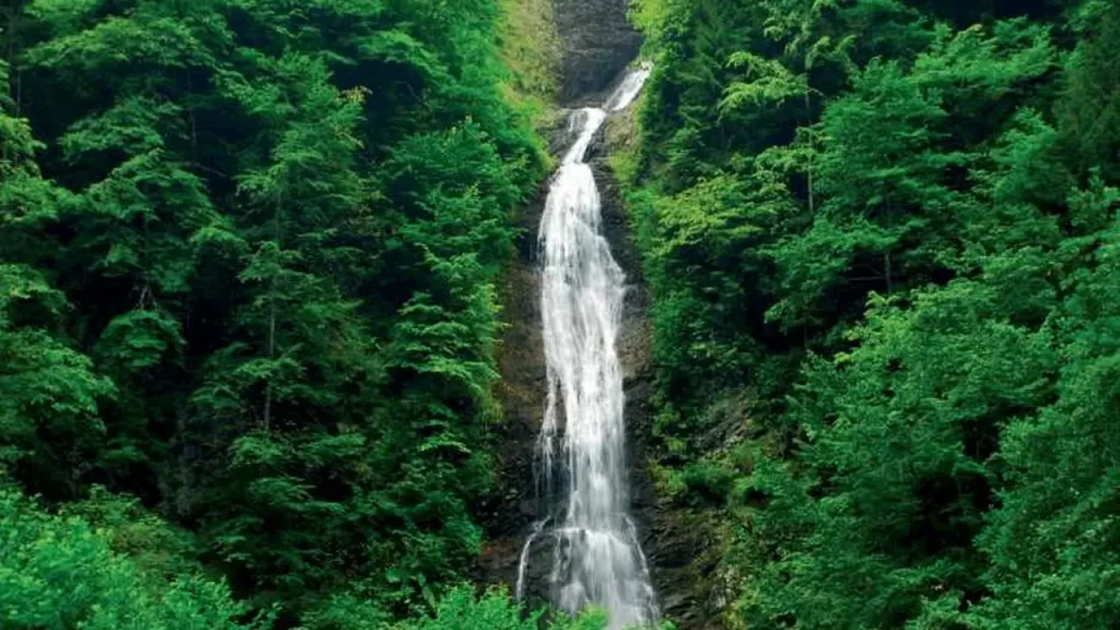 Jalen Tolo Falls