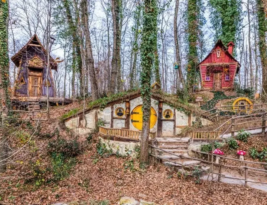 غابات اورمانيا صبنجة 