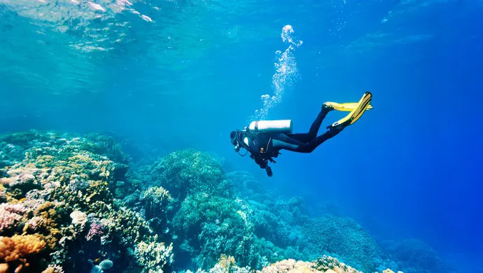 Diving trip in Kemer