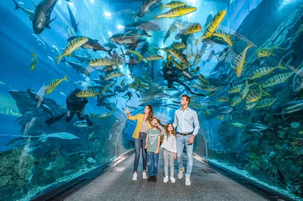 tourist places, Istanbul Aquarium